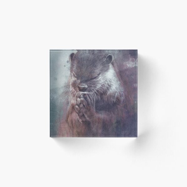 Meditierender Otter (farbig) Acrylblock