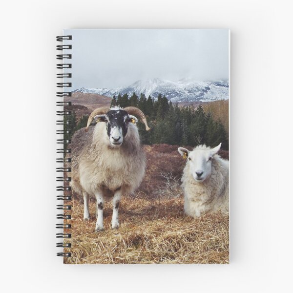 Item preview, Mutton of the glen designed and sold by PeterBarr.