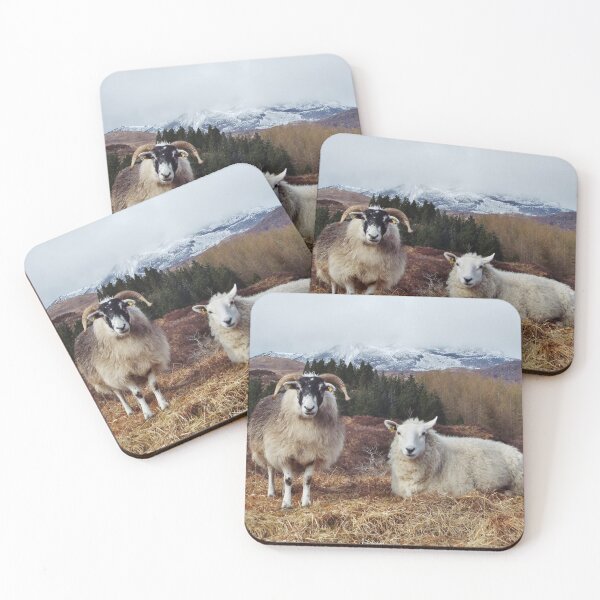 Item preview, Mutton of the glen designed and sold by PeterBarr.