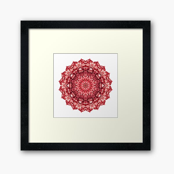 Mandala 023 Framed Art Print