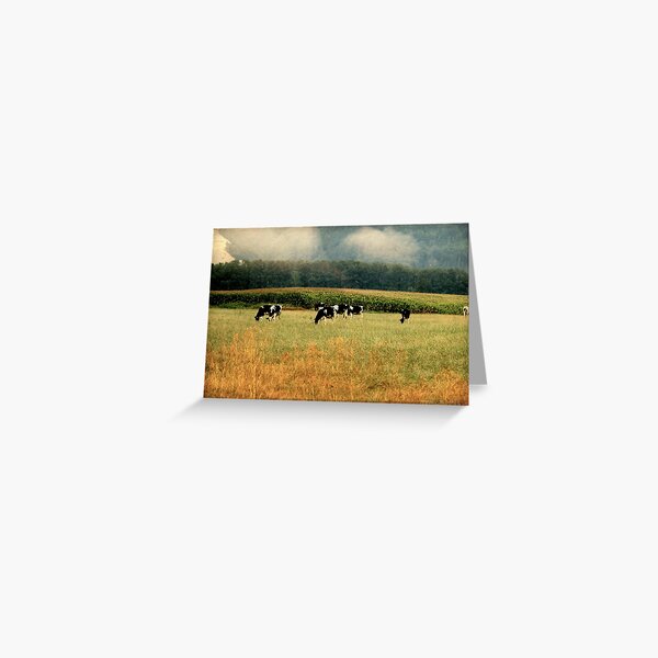 Holsteins in the Country Greeting Card