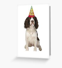 English Springer Spaniel Birthday Greeting Card