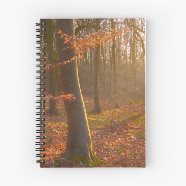 Item preview, Cotswold Beechwood designed and sold by andrewroland.