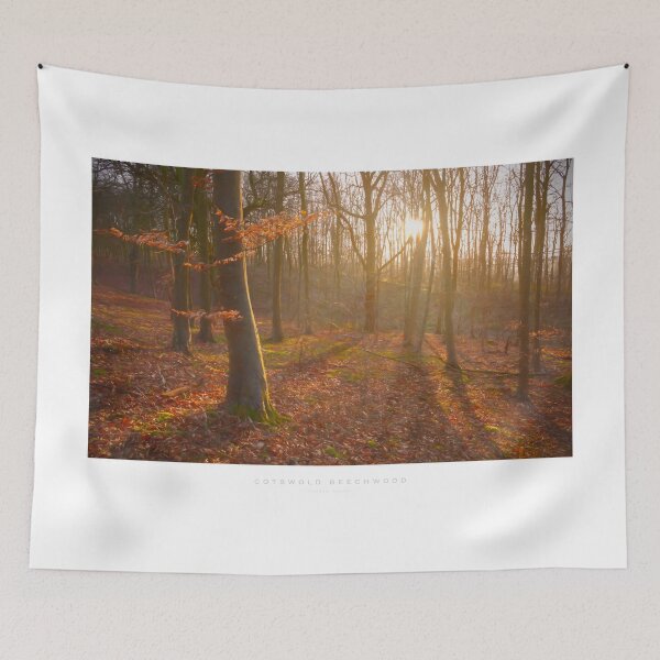 Item preview, Cotswold Beechwood designed and sold by andrewroland.