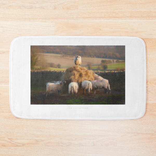 Item preview, Cotswold Sheep designed and sold by andrewroland.