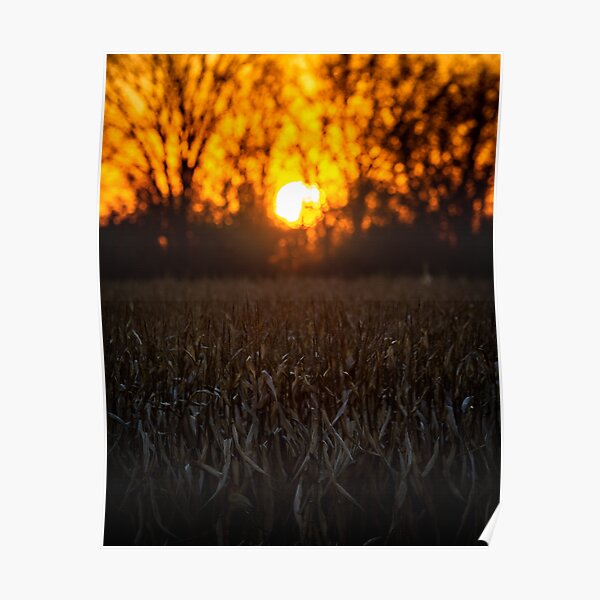 November Sunset Poster