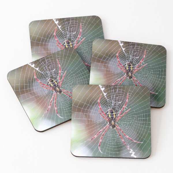 Item preview, Large Garden Orbweaver Spider designed and sold by Linda Walsh.