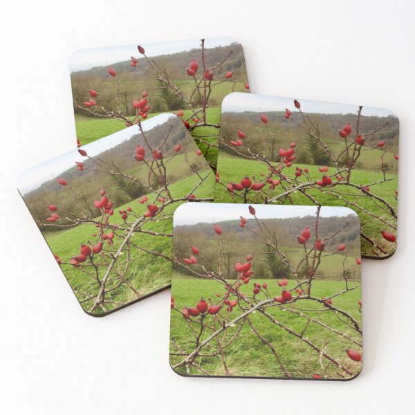 Item preview, “Rose hips” Gloucestershire, United Kingdom. designed and sold by Angela Haig-Harrison.