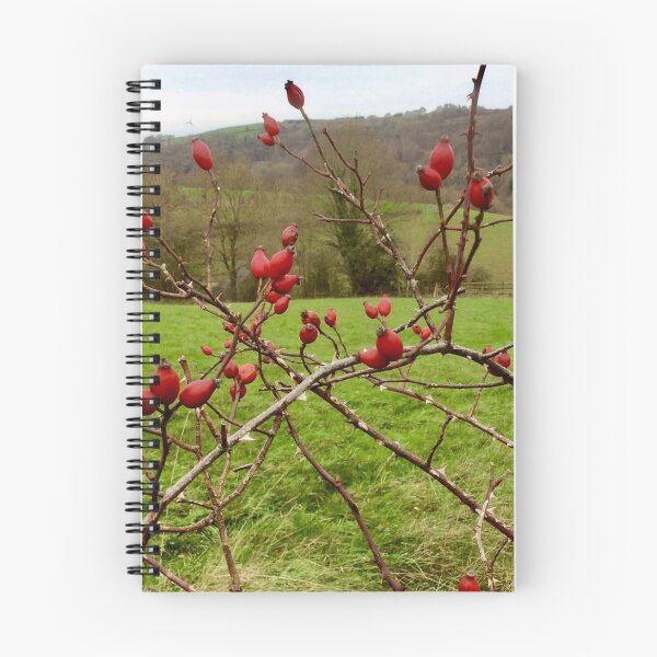Item preview, “Rose hips” Gloucestershire, United Kingdom. designed and sold by Angela Haig-Harrison.