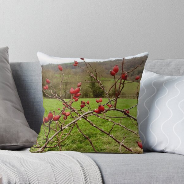 Item preview, “Rose hips” Gloucestershire, United Kingdom. designed and sold by Angela Haig-Harrison.