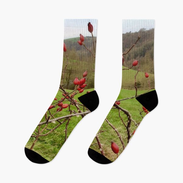 Item preview, “Rose hips” Gloucestershire, United Kingdom. designed and sold by Angela Haig-Harrison.