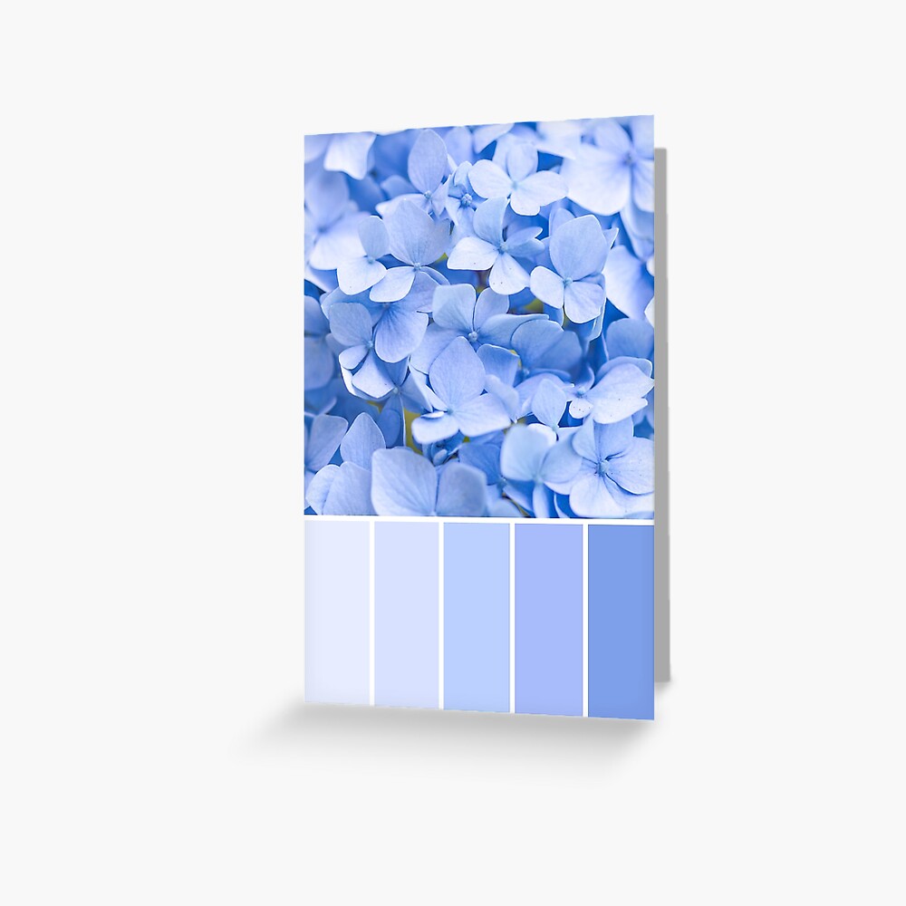 "Pastel blue Hydrangea Colour Palette" Greeting Card by zoepower