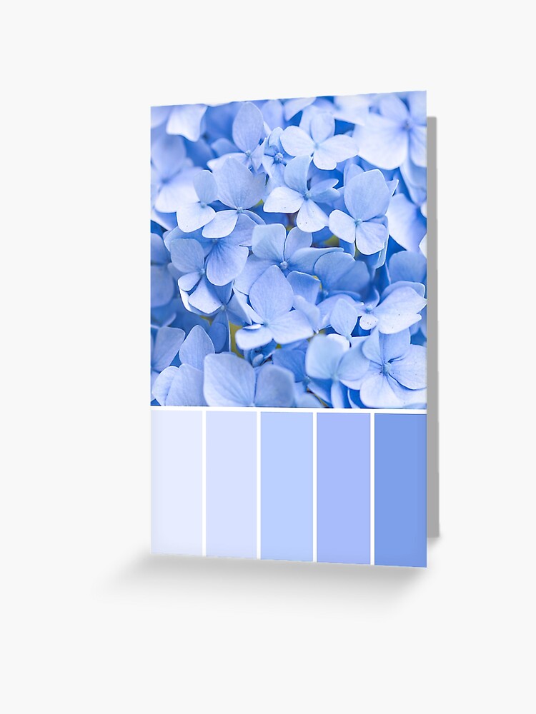 palette de couleurs bleu pastel