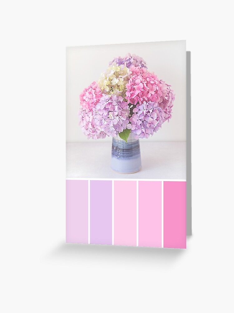 Tarjetas de felicitación «Paleta de colores pastel hortensias en rosas y  púrpuras» de zoepower | Redbubble
