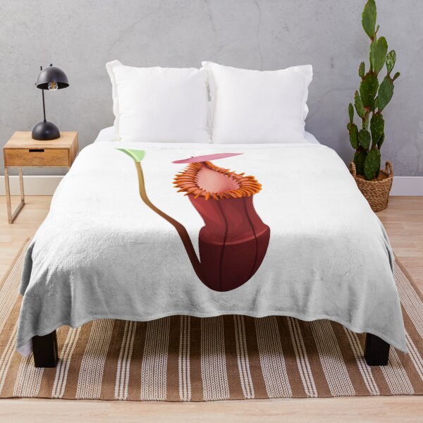 Item preview, Nepenthes Edwardsiana | carnivorous plant | pitcher plant designed and sold by Carnivorous Plant Club ⭐⭐⭐⭐⭐.