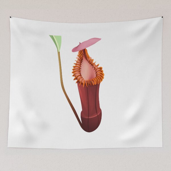 Item preview, Nepenthes Edwardsiana | carnivorous plant | pitcher plant  designed and sold by Carnivorous  Plant Club ⭐⭐⭐⭐⭐.