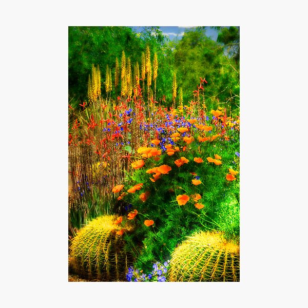 Item preview, The Desert Abloom designed and sold by Saija  Lehtonen.