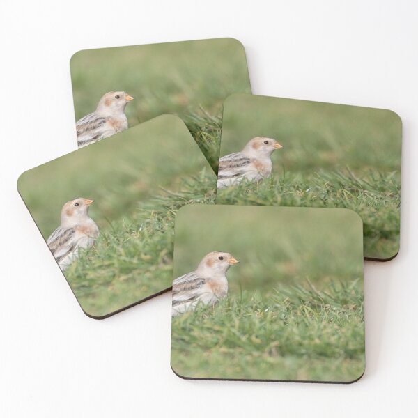 Item preview, Snow Bunting designed and sold by LaurenTucker.