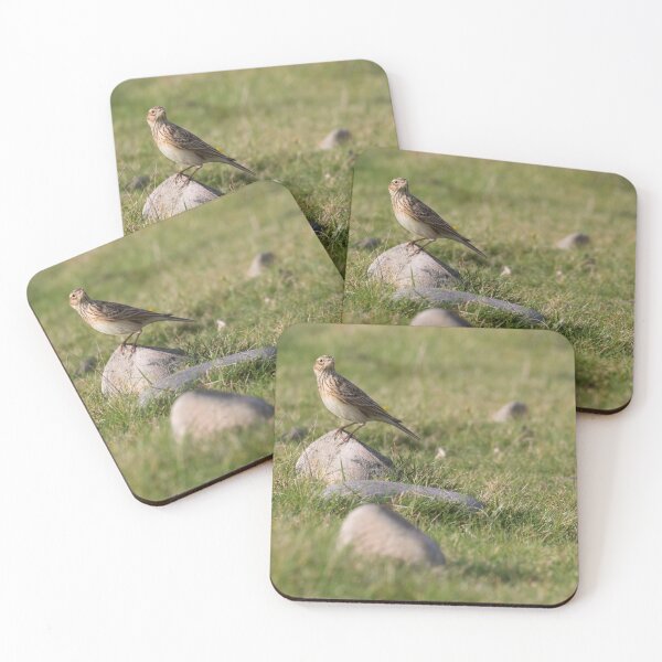Item preview, Skylark designed and sold by LaurenTucker.
