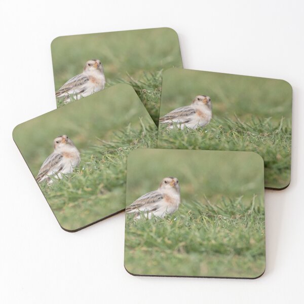 Item preview, Snow Bunting designed and sold by LaurenTucker.