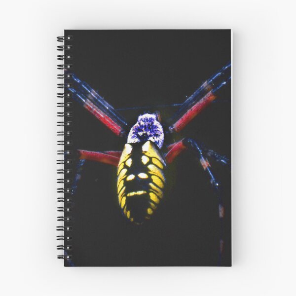 Item preview, garden spider designed and sold by lastgasp.