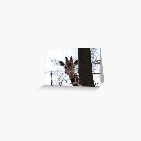 Item preview, Reticulated Giraffe designed and sold by Alyce Taylor.