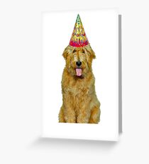 Goldendoodle Birthday Greeting Card