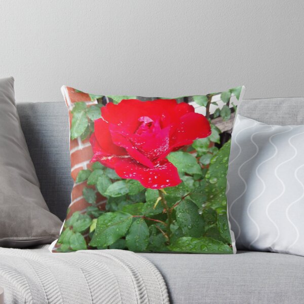 Item preview, Red rose after the rain designed and sold by Angel35.