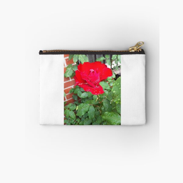 Item preview, Red rose after the rain designed and sold by Angel35.