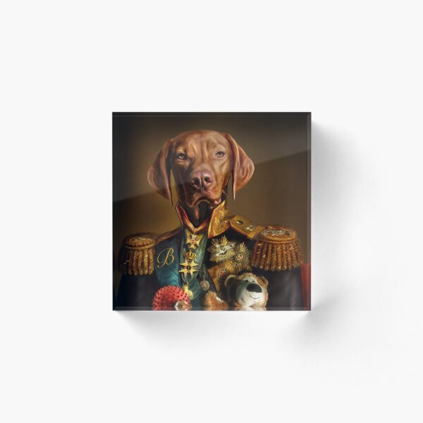 Bertie the Hungarian Vizsla - Dog Portrait Acrylic Block
