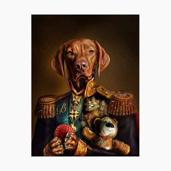 Bertie the Hungarian Vizsla - Dog Portrait Photographic Print