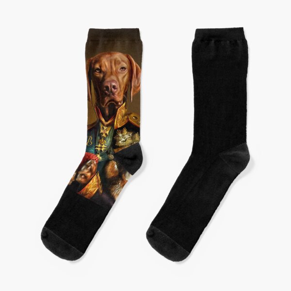 Bertie the Hungarian Vizsla - Dog Portrait Socks