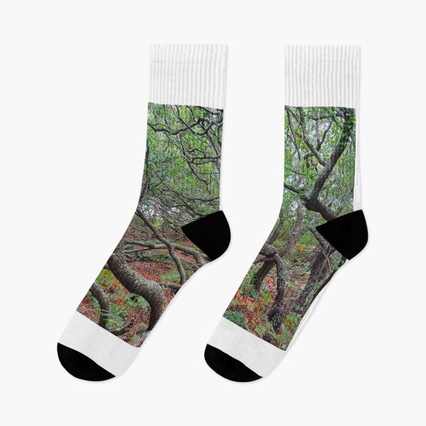 Item preview, Mystical Forrest  designed and sold by LisaWootenPhoto.