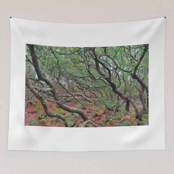 Item preview, Mystical Forrest  designed and sold by LisaWootenPhoto.