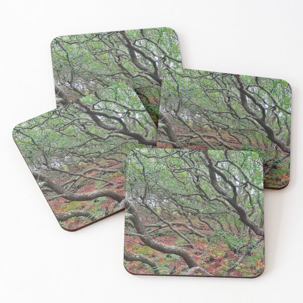 Item preview, Mystical Forrest  designed and sold by LisaWootenPhoto.