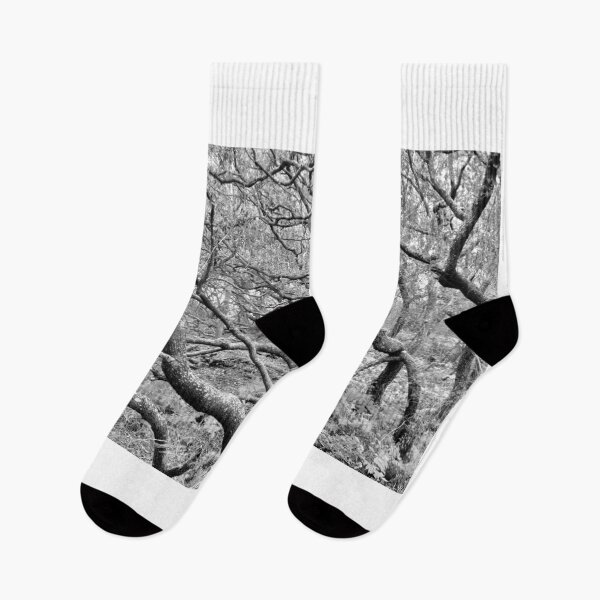 Item preview, Mystical Forrest Black And White designed and sold by LisaWootenPhoto.