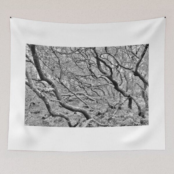 Item preview, Mystical Forrest Black And White designed and sold by LisaWootenPhoto.