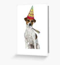 Jack Russell Terrier Birthday Greeting Card