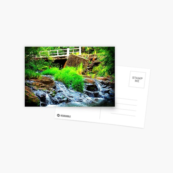 river silience Postcard