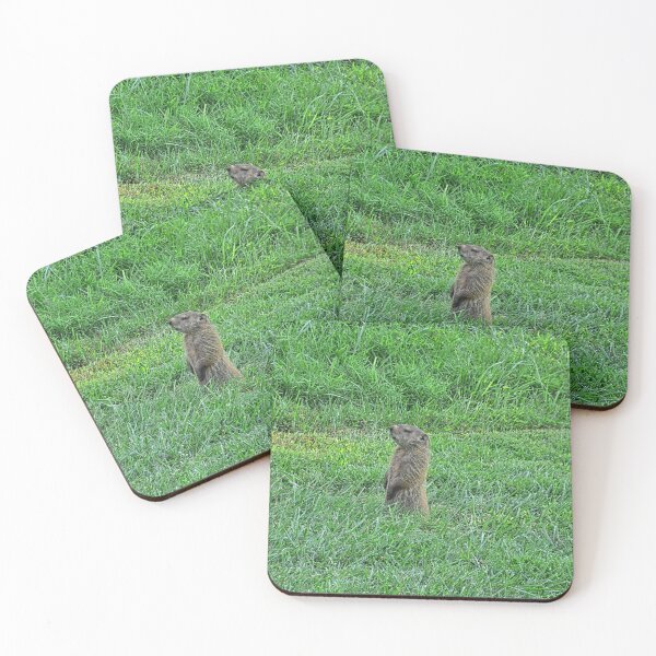 Item preview, Ground Hog designed and sold by LisaWootenPhoto.