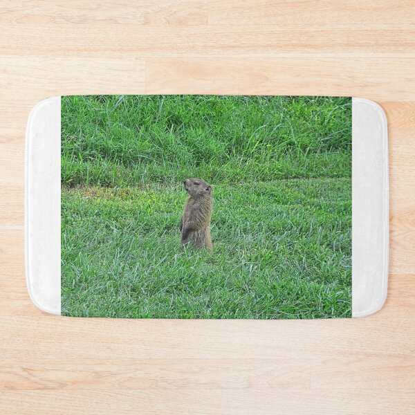 Item preview, Ground Hog designed and sold by LisaWootenPhoto.