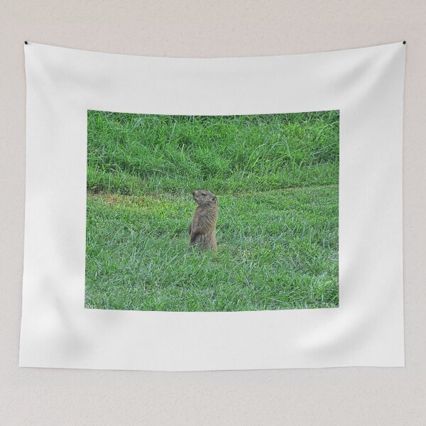 Item preview, Ground Hog designed and sold by LisaWootenPhoto.