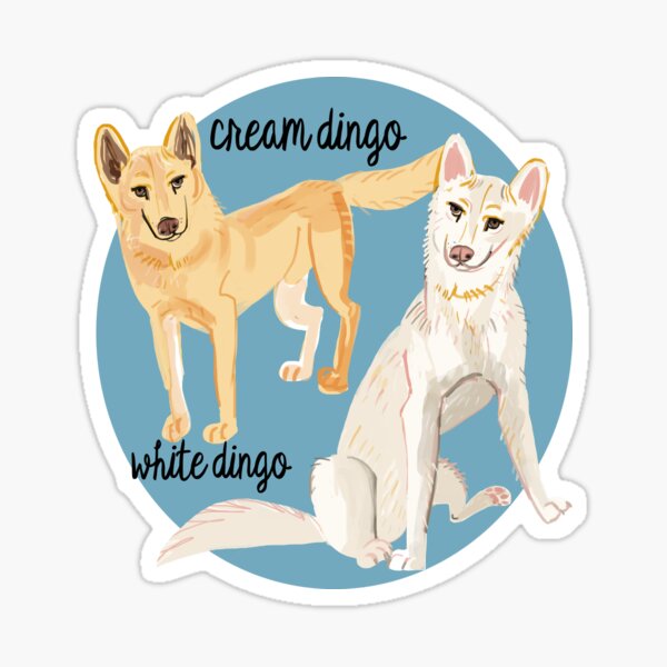 Cartoon Dingo Sticker By Camcartoonfan Redbubble