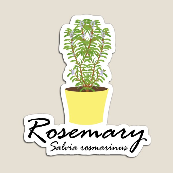 Item preview, Rosemary designed and sold by Bruna Esmanhotto.