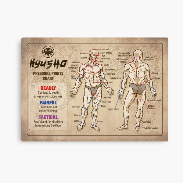 Kyusho Human Body Pressure Points Canvas Print