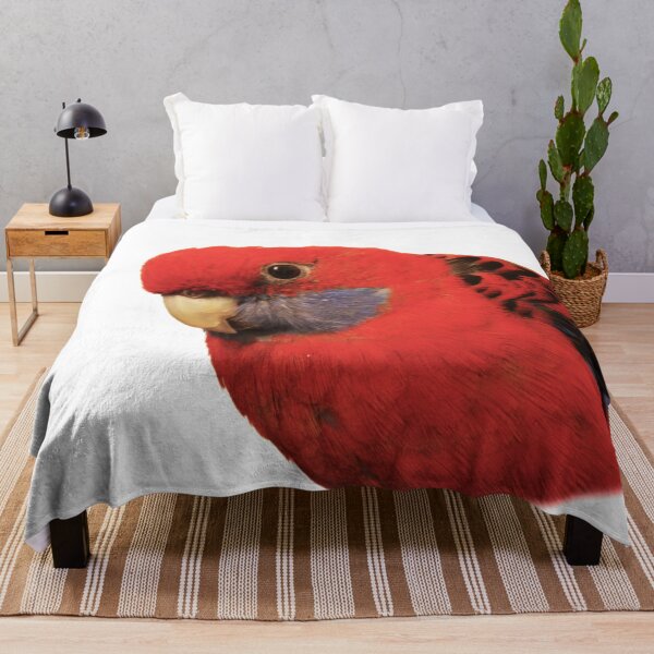 Item preview, Bobby The Crimson Rosella on Transparent Background designed and sold by Terri Waters Photography & Design.