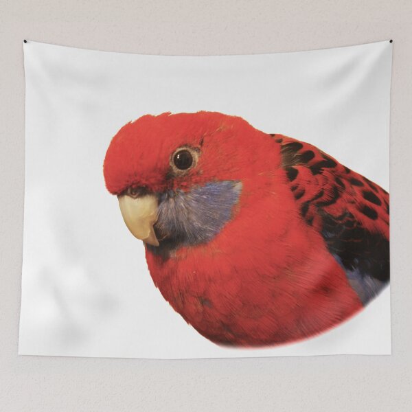 Item preview, Bobby The Crimson Rosella on Transparent Background designed and sold by Terri Waters Photography & Design.