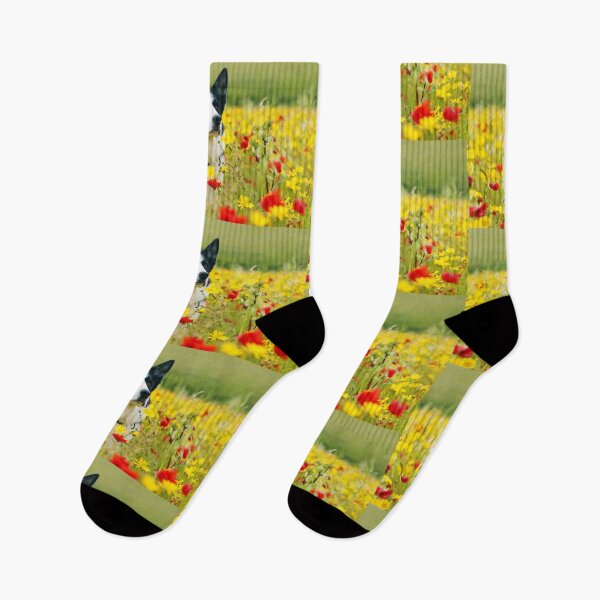 Item preview, Dog Sitting Pretty in the Flowers designed and sold by Terri Waters Photography & Design.