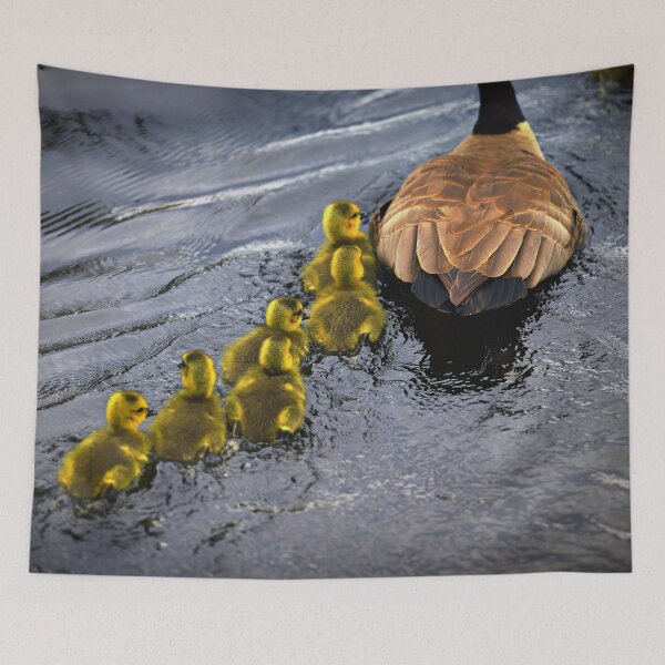 Item preview, Canada Goose and Gosling designed and sold by Yannik Hay.