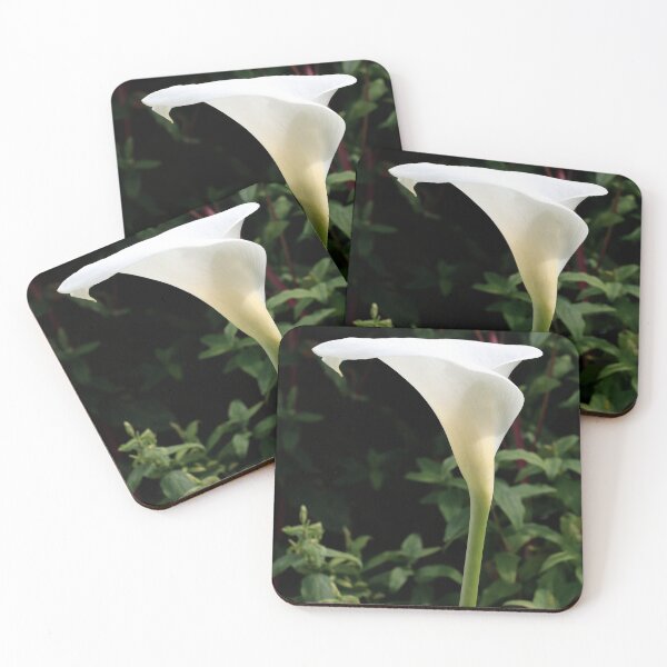 Item preview, Elegant Arum Lily designed and sold by Terri Waters Photography & Design.
